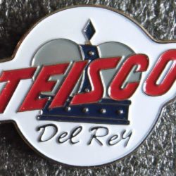 Teisco Del Ray