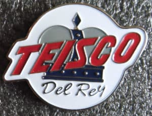 Teisco Del Ray